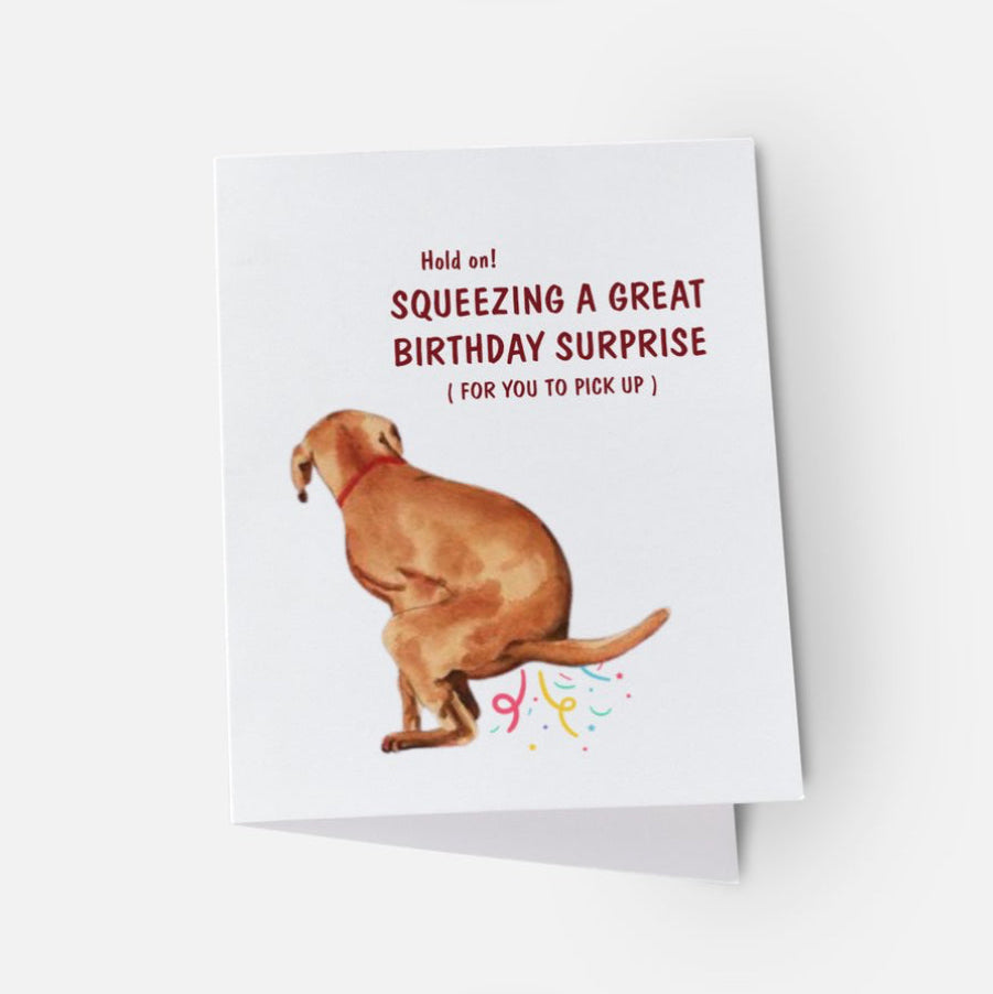 Birthday Surprise Notecard