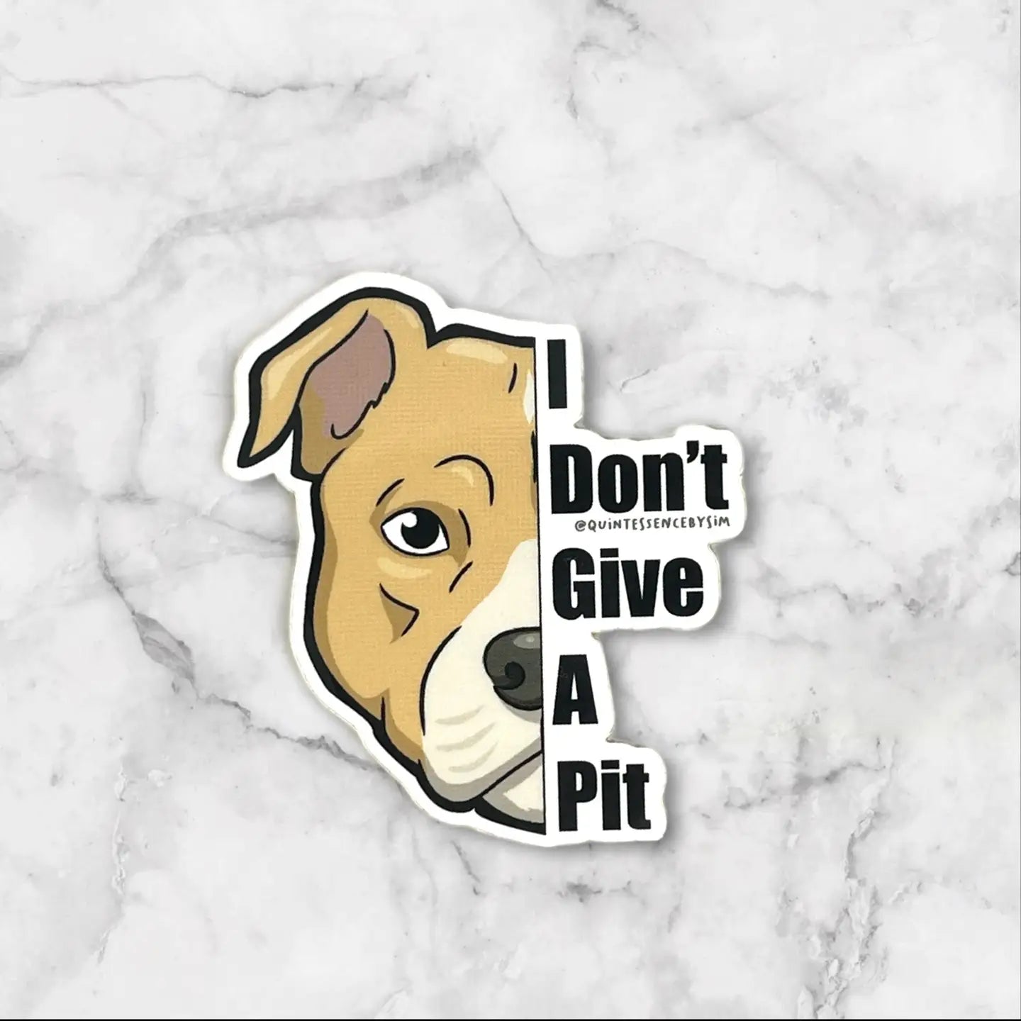Don’t Give A Pitt Sticker