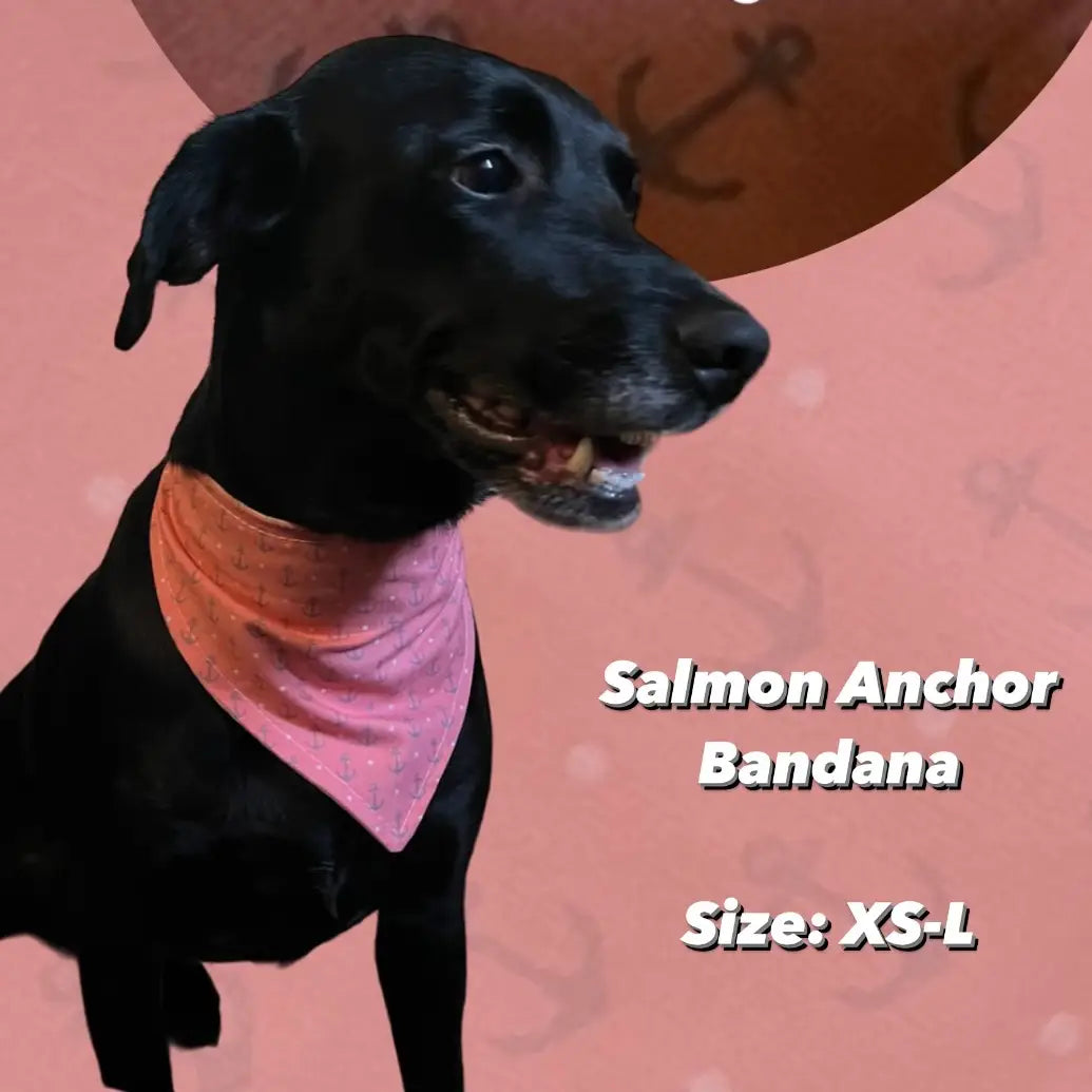 Salmon Anchor Reversible Pet Bandana