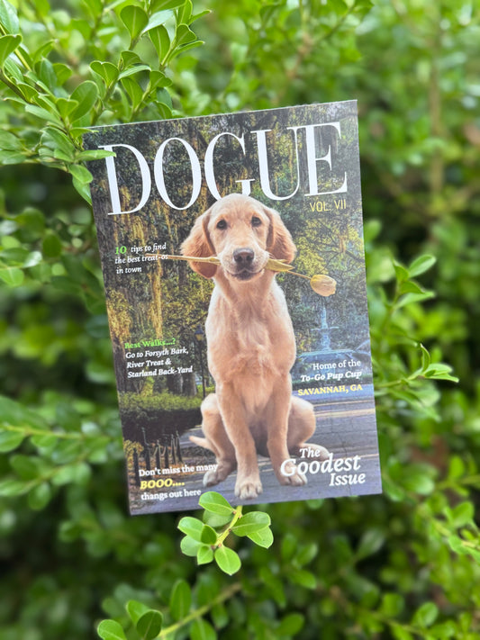 Dogue Postcard