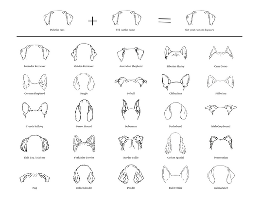Dog Ears